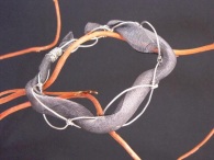Bracelet - Silverite, shimmery silver ribbon woven into a silver handcrafted frame.